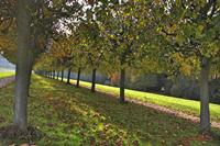 Cjp_2009_10_29_145619 (1)_HDR-D1.jpg